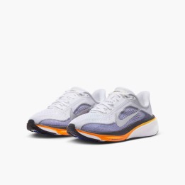 ZAPATILLAS NIKE MOD. PEGASUS 42