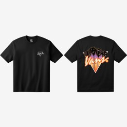 CAMISETA VANS MOD. PALM DRIVE